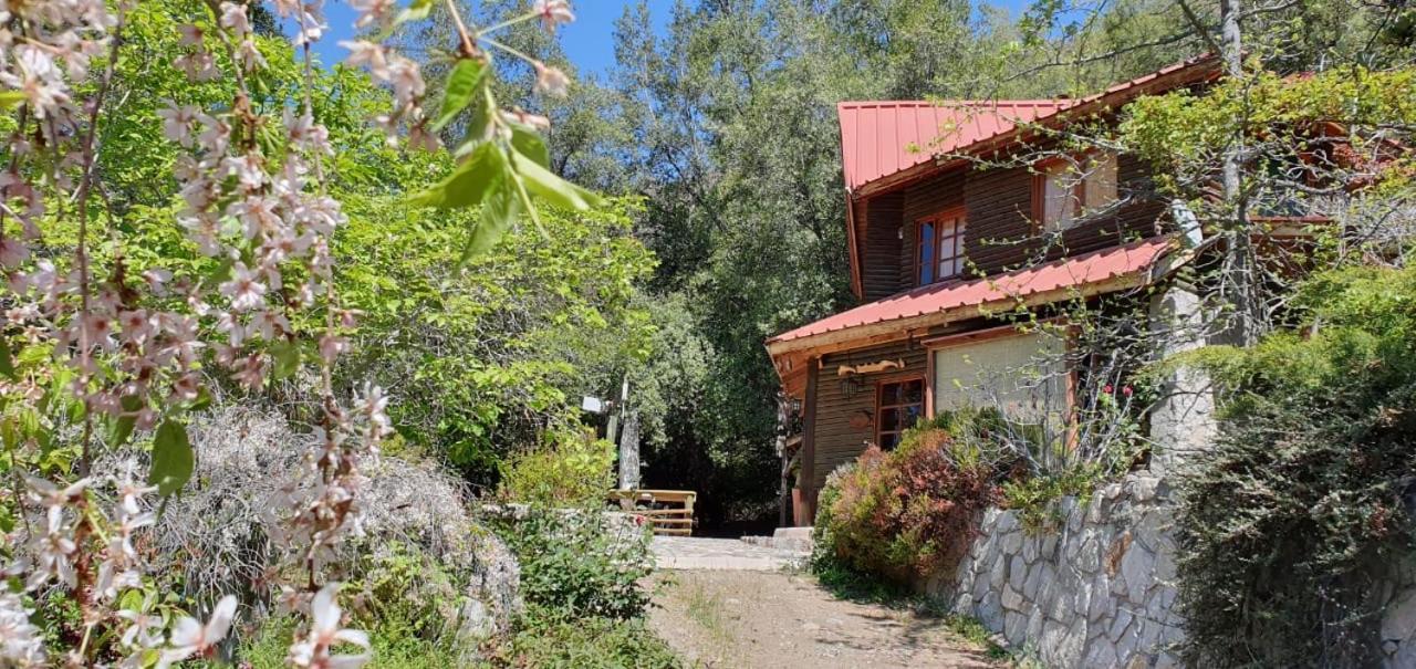 Casa De Montana Inmersa En Bosque Nativo Сан-Хосе-де-Майпо Экстерьер фото